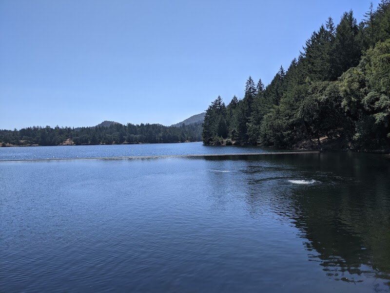 PXL_20210720_180033514.jpg