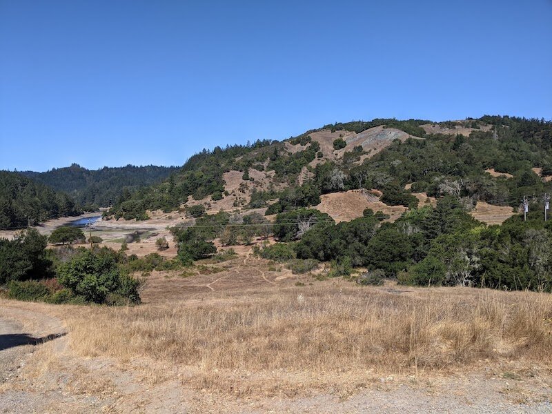 PXL_20210720_172638135.jpg