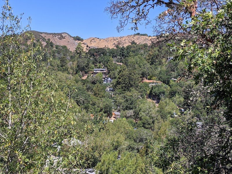 PXL_20210720_182513956.jpg